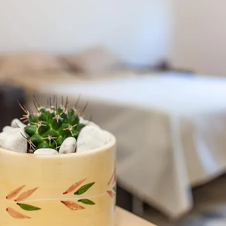 Maison d'hôtes Nopal 3*